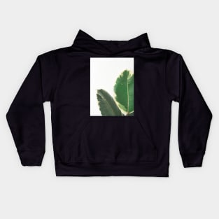 Leaf Study Kids Hoodie